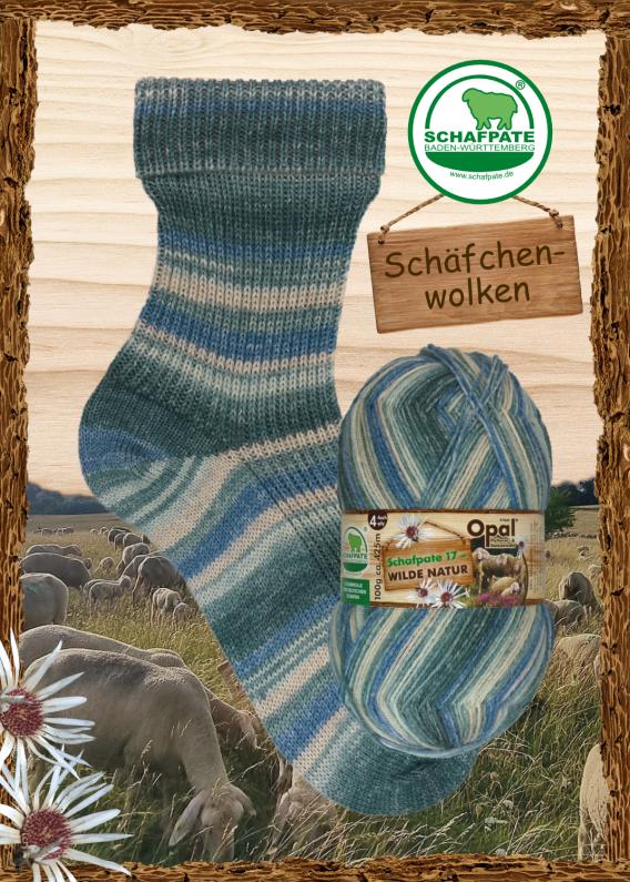 Opal Schafpate 17 Schäfchenwolken – blaue Farbvariante der Sockenwolle kaufen in Hamburg
