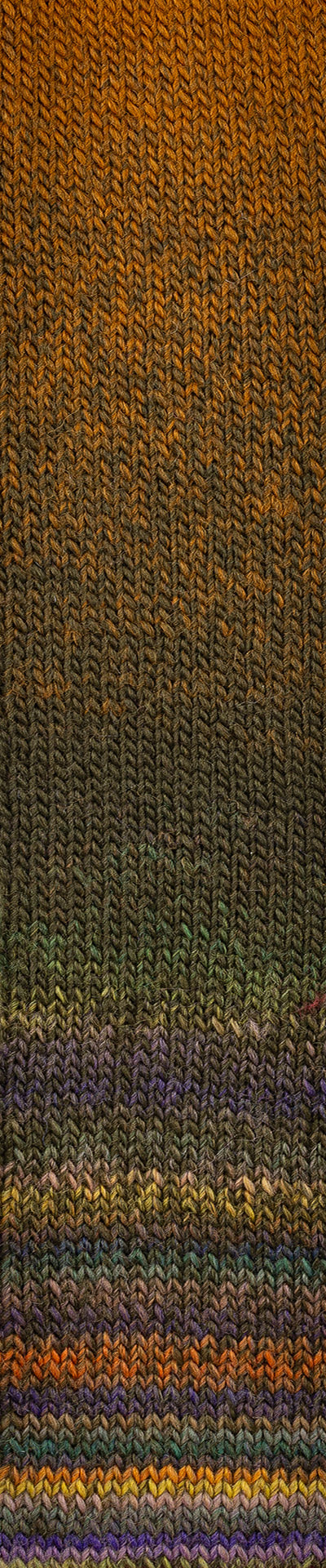 Poema Color Strickmuster – warme Braun- und Olivtöne mit grün-violetten Nuancen, harmonischer Farbverlauf für Herbstprojekte.
