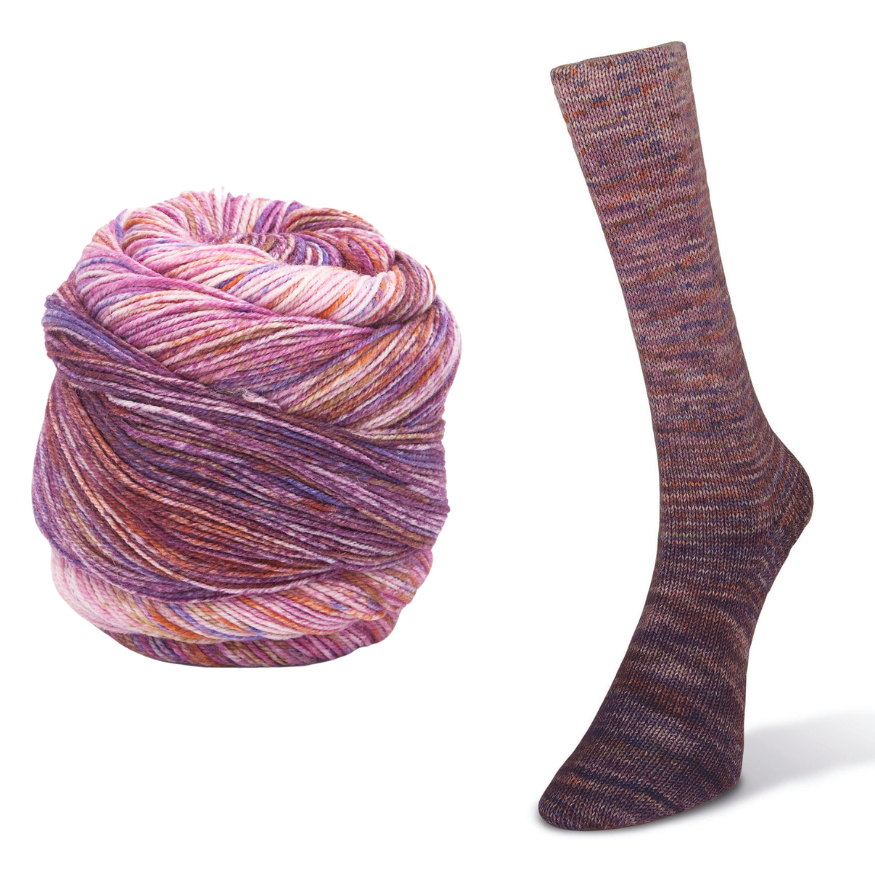 sockenwolle shop PAINT GRADIENT SOCK Laines du Nord