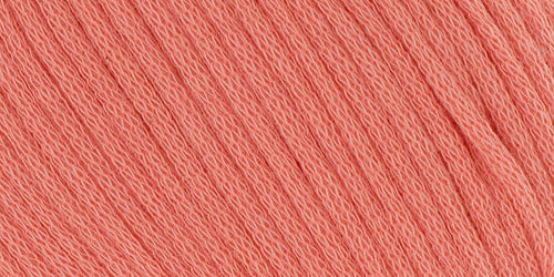 10100.006 Lachs