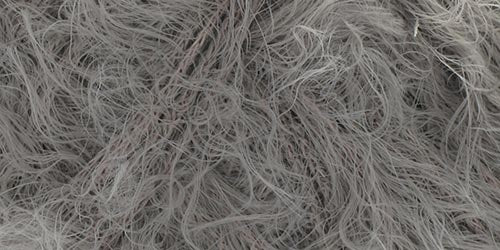 10250.010_na Schlamm