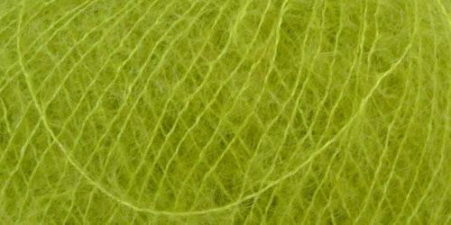 10190.006 Kiwi