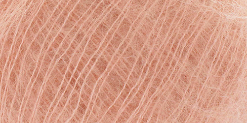 10190.116 Lachs