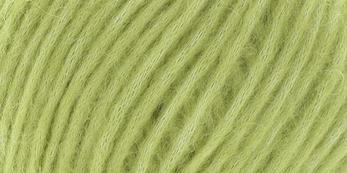 10150.016_na Kiwi