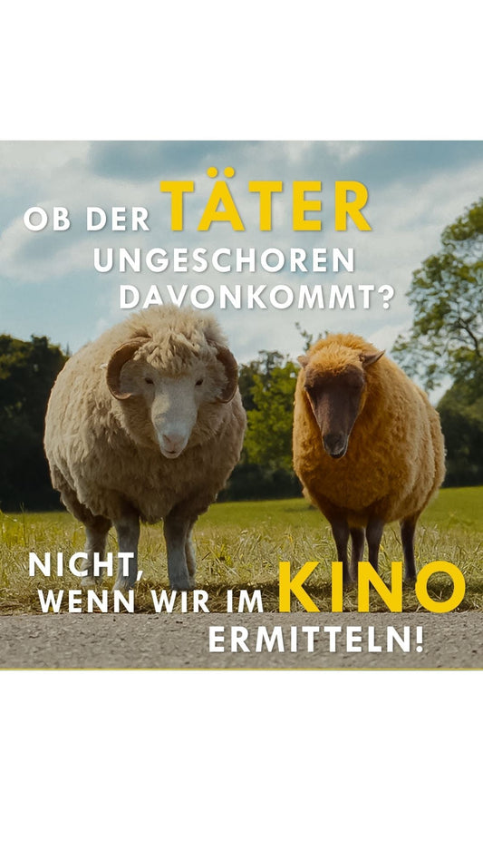 Stricken im Kino: Das große Jubiläum mit Alpaka-Besuch и Schafskrimi