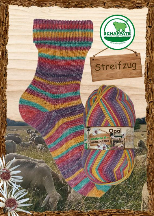 Opal Schafpate 17 Streifzug – farbenfrohe Sockenwolle 4-fach in Hamburg kaufen