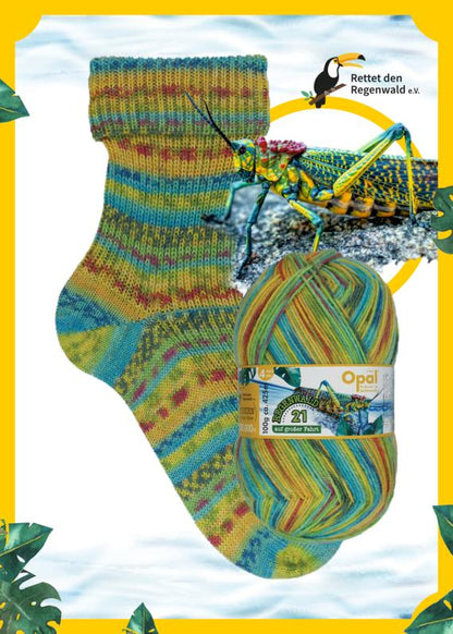 Bunte Socke mit Heuschrecke – Modell „Navigator“ aus Opal Regenwald 21