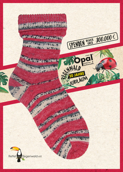 "20 Years of Rainforest" 6-fold