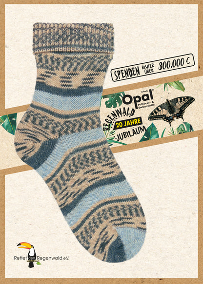 "20 Years of Rainforest" 6-fold