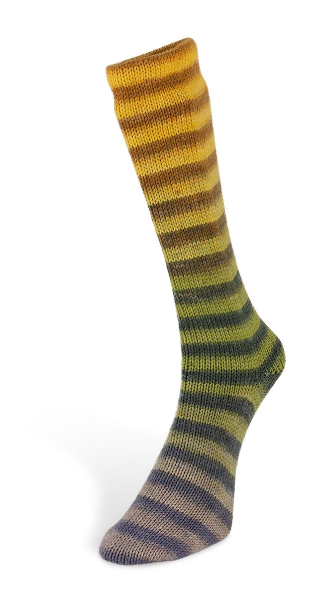 Paint Socks 6 Ply – mulesingfreie Sockenwolle, ideal für robuste Projekte