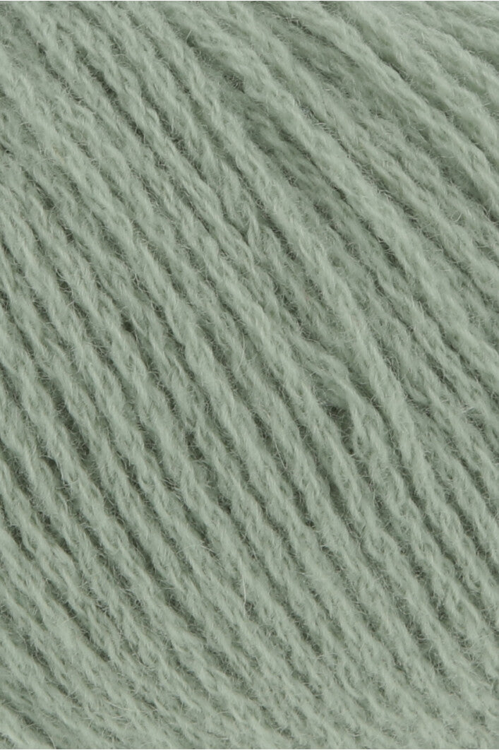 78.0092 (SALBEI)