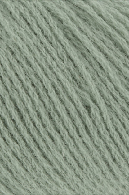 78.0092 (SALBEI)