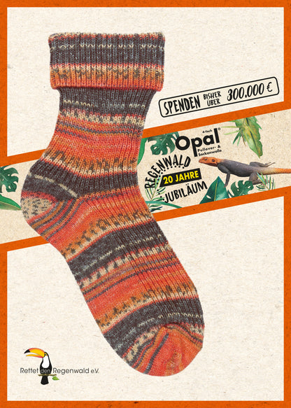 "20 Years of Rainforest" 6-fold