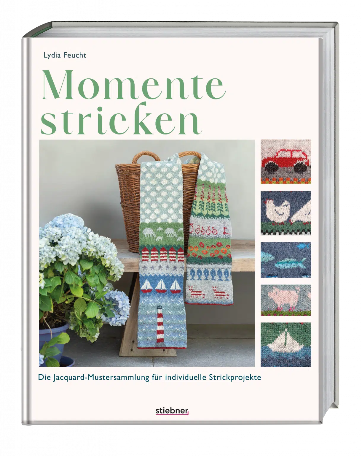 Momente stricken - Lydia Feucht das Buch kaufen
