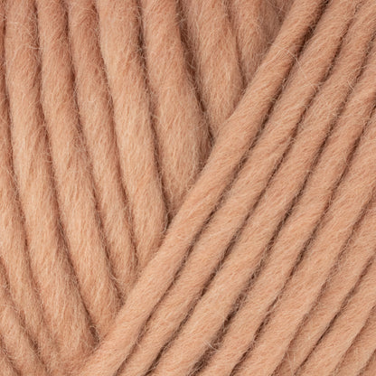 WYS - Re:Treat - SUPER Chunky Roving - Bluefaced Kerry Hill-Schaf - extra stark