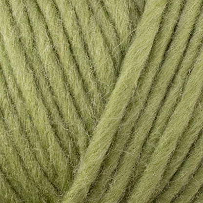 WYS - Re:Treat - SUPER Chunky Roving - Bluefaced Kerry Hill-Schaf - extra stark