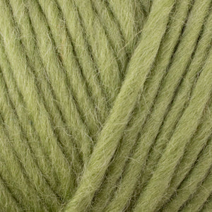 WYS - Re:Treat - SUPER Chunky Roving - Bluefaced Kerry Hill-Schaf - extra stark