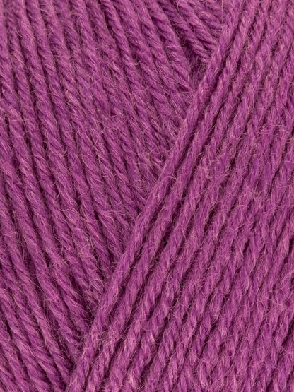 Signature 4ply - Solid