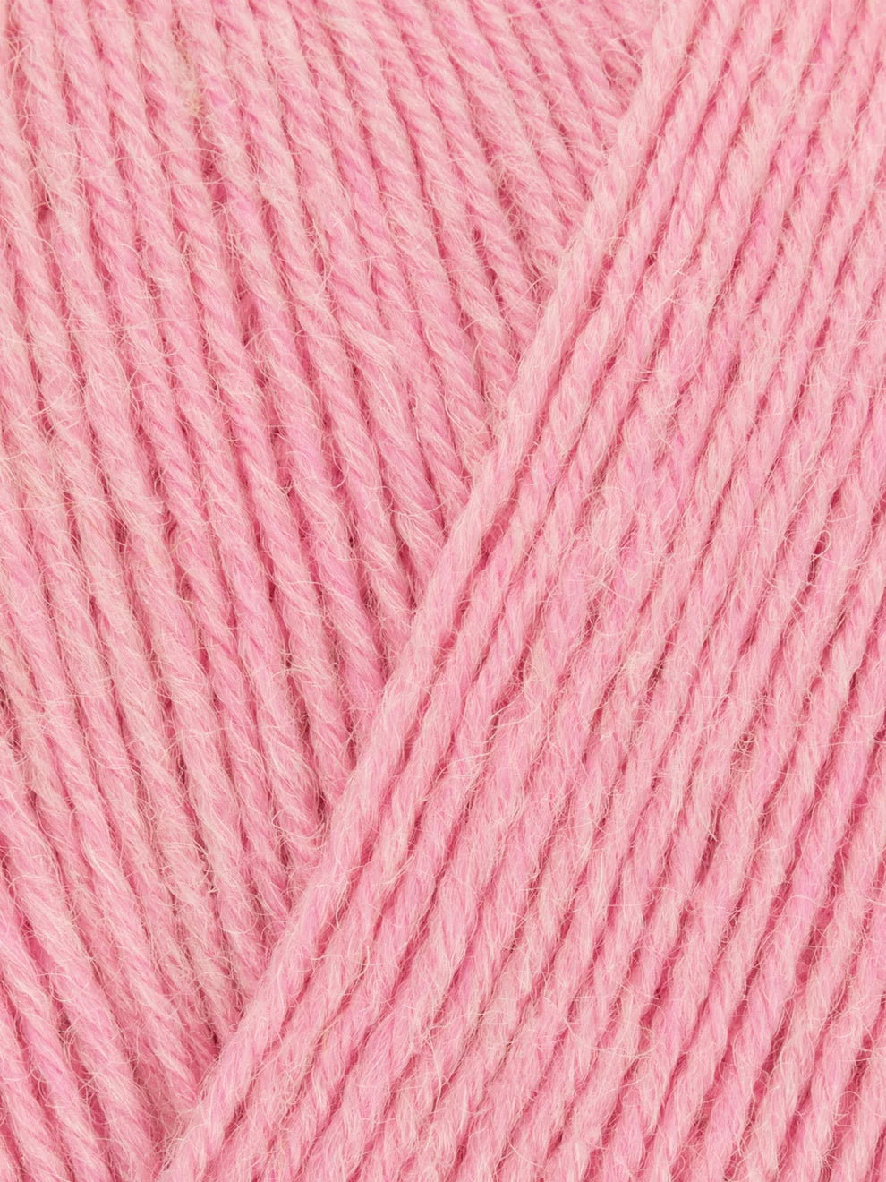 Signature 4ply - Solid