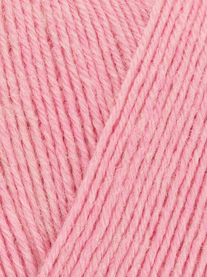 Signature 4ply - Solid