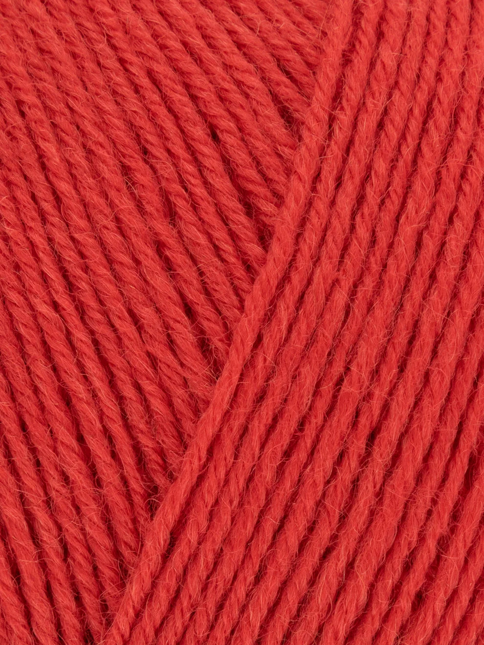 Signature 4ply - Solid