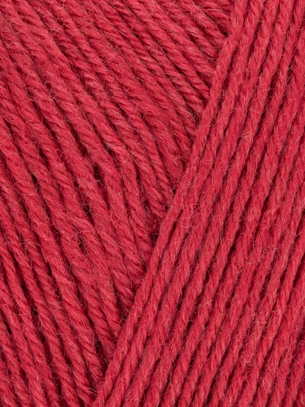 Signature 4ply - Solid