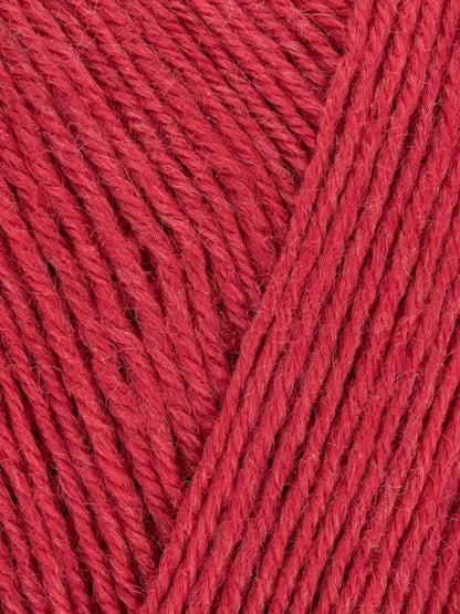 Signature 4ply - Solid