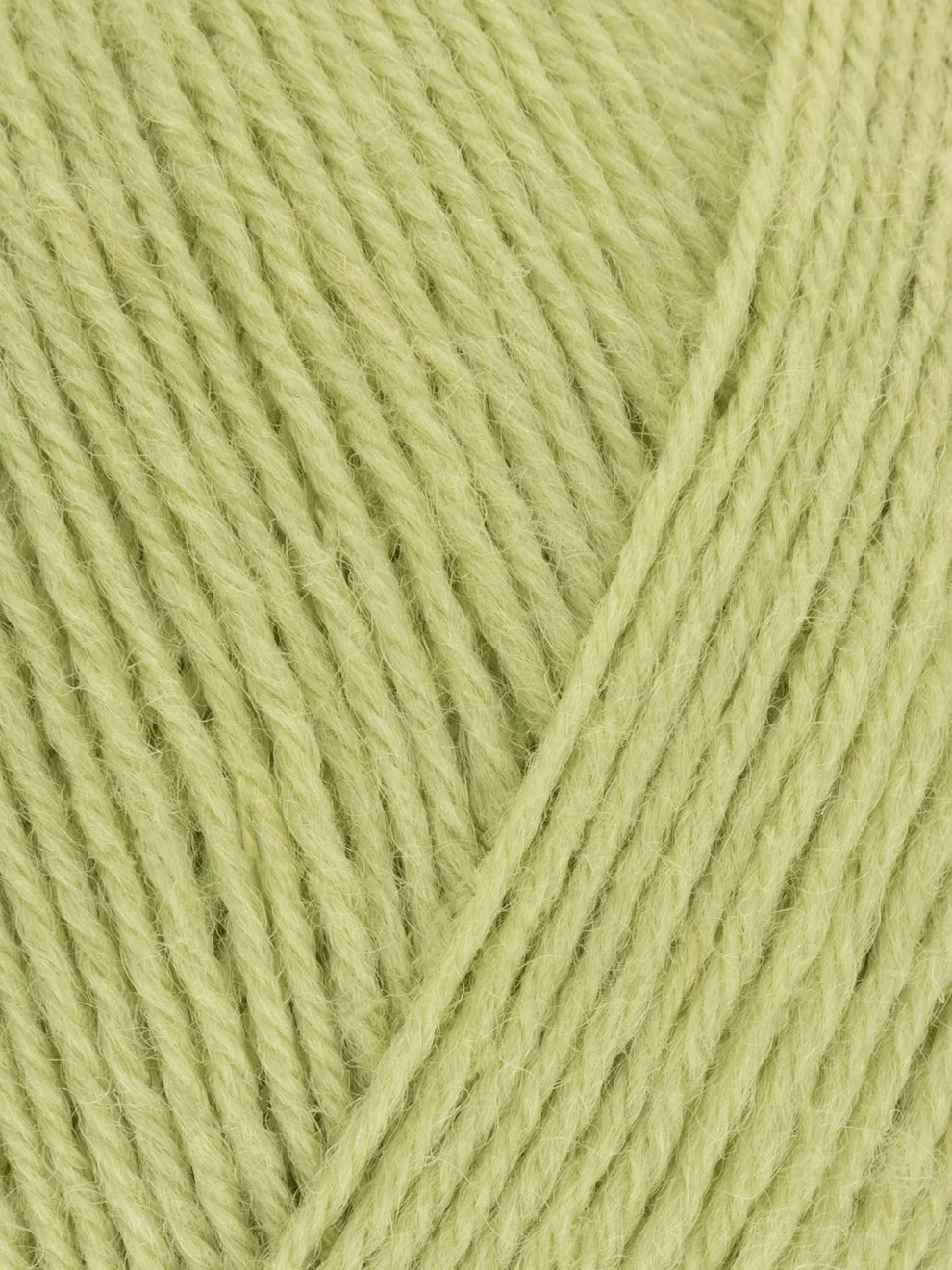 Signature 4ply - Solid