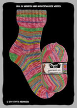 Laden Sie das Bild in den Galerie-Viewer, Kollektion nach Hundertwasser Edition 4 - Sockenwolle 4-fach
