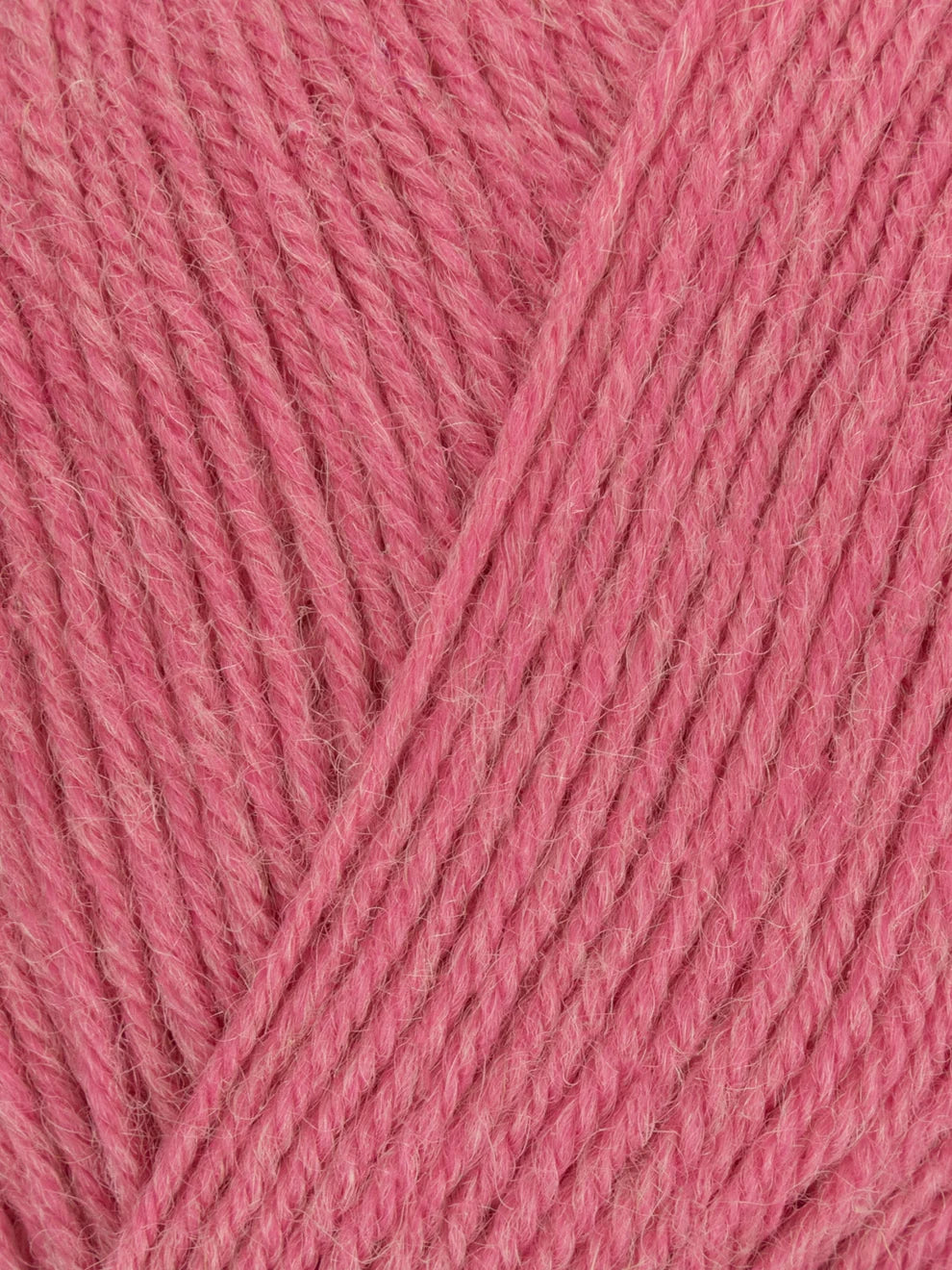 Signature 4ply - Solid