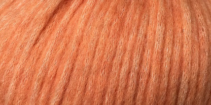 10150.026 Lachs