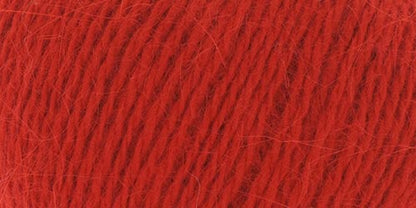 10010.009 Rot