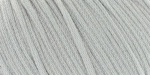 10100.005 Silber