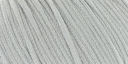 10100.005 Silber