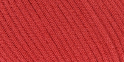 10100.009 Rot