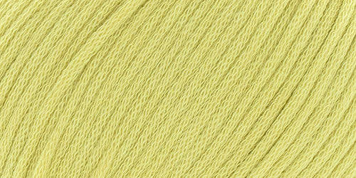 10100.014 Kiwi