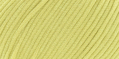 10100.014 Kiwi
