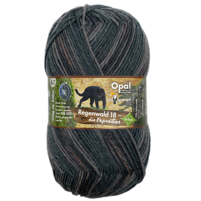 Regenwald 18  6-fach - Die Expedition	Sockenwolle kaufen
