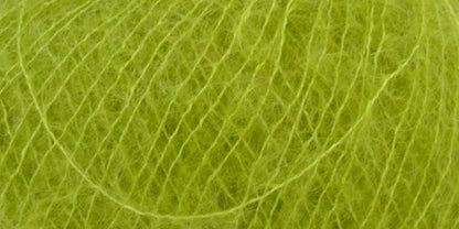 10190.006 Kiwi