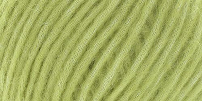 10150.016_na Kiwi