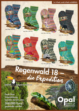 Laden Sie das Bild in den Galerie-Viewer, Kollektion Regenwald 18 - Die Expedition