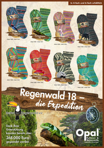 Kollektion Regenwald 18 - Die Expedition